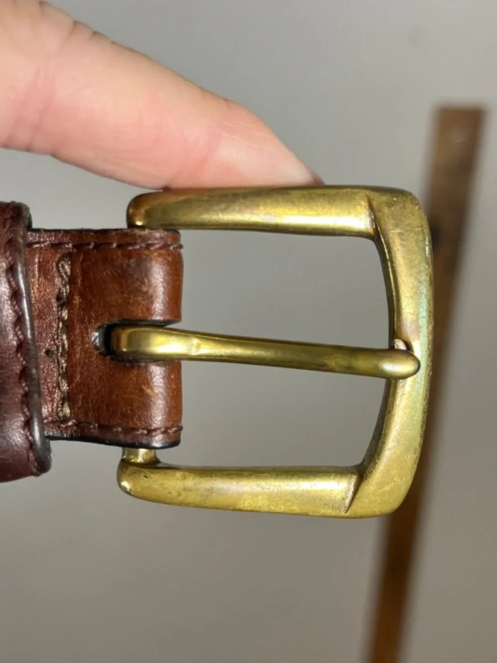 Fossil great pre